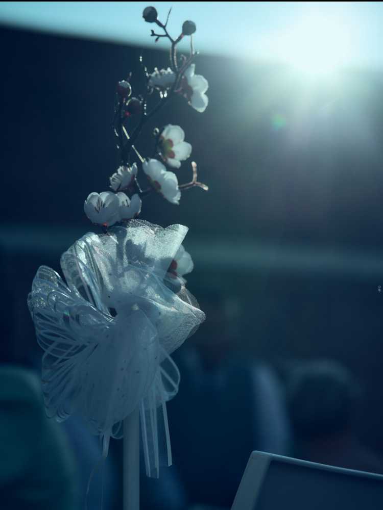 Mariage de Thaïs & Brayan